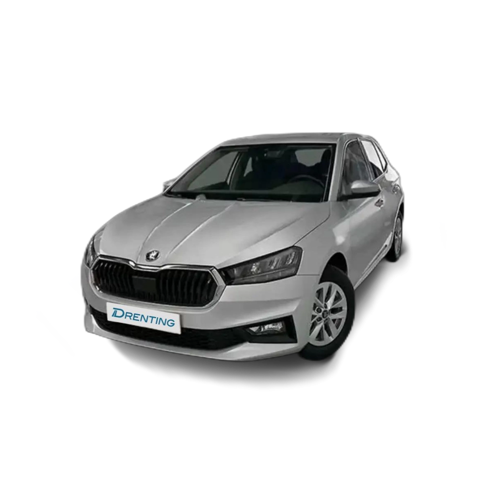 Skoda Fabia 1.0 TSI Selection 70kW Plateado