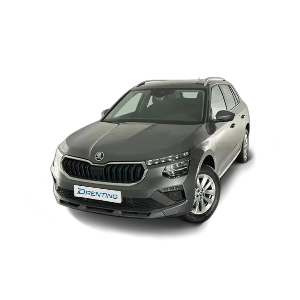 Skoda Kamiq 1.0 TSI Selection 85kW Gris 1