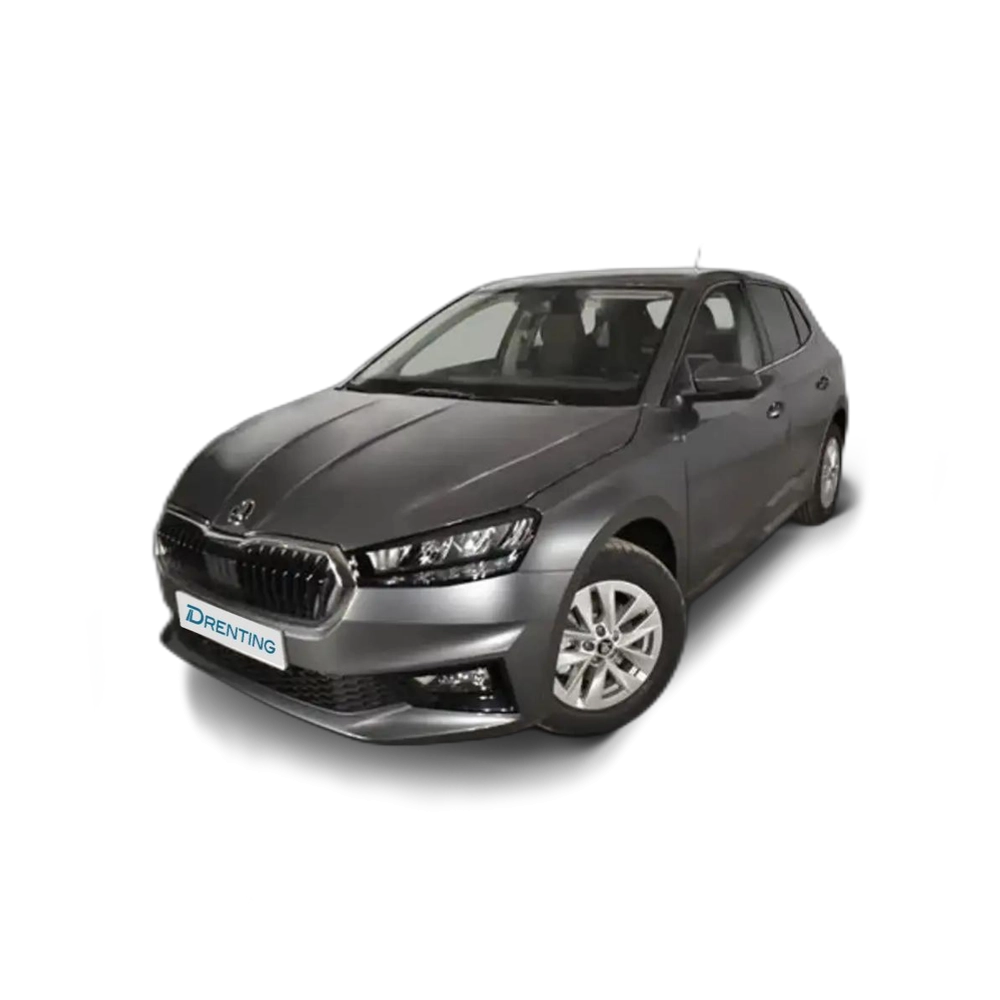 Skoda Fabia 1.0 TSI Selection DSG 85kW Gris