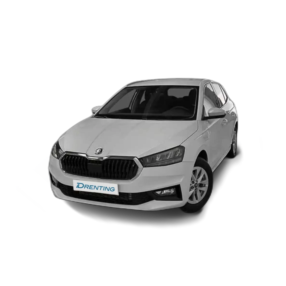 Renting Skoda Fabia 1.0 TSI Selection DSG 85kW Blanco 4