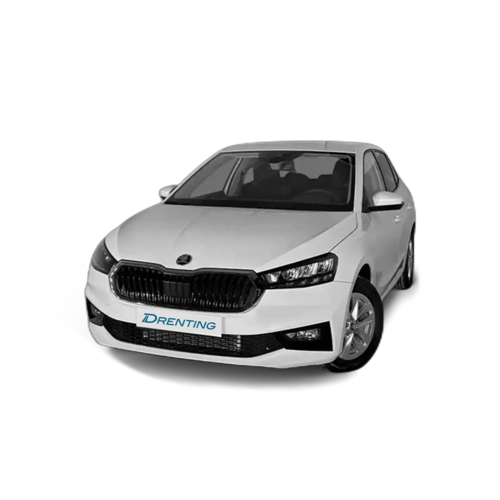 Renting Skoda Fabia 1.0 TSI Selection DSG 85kW Blanco 2