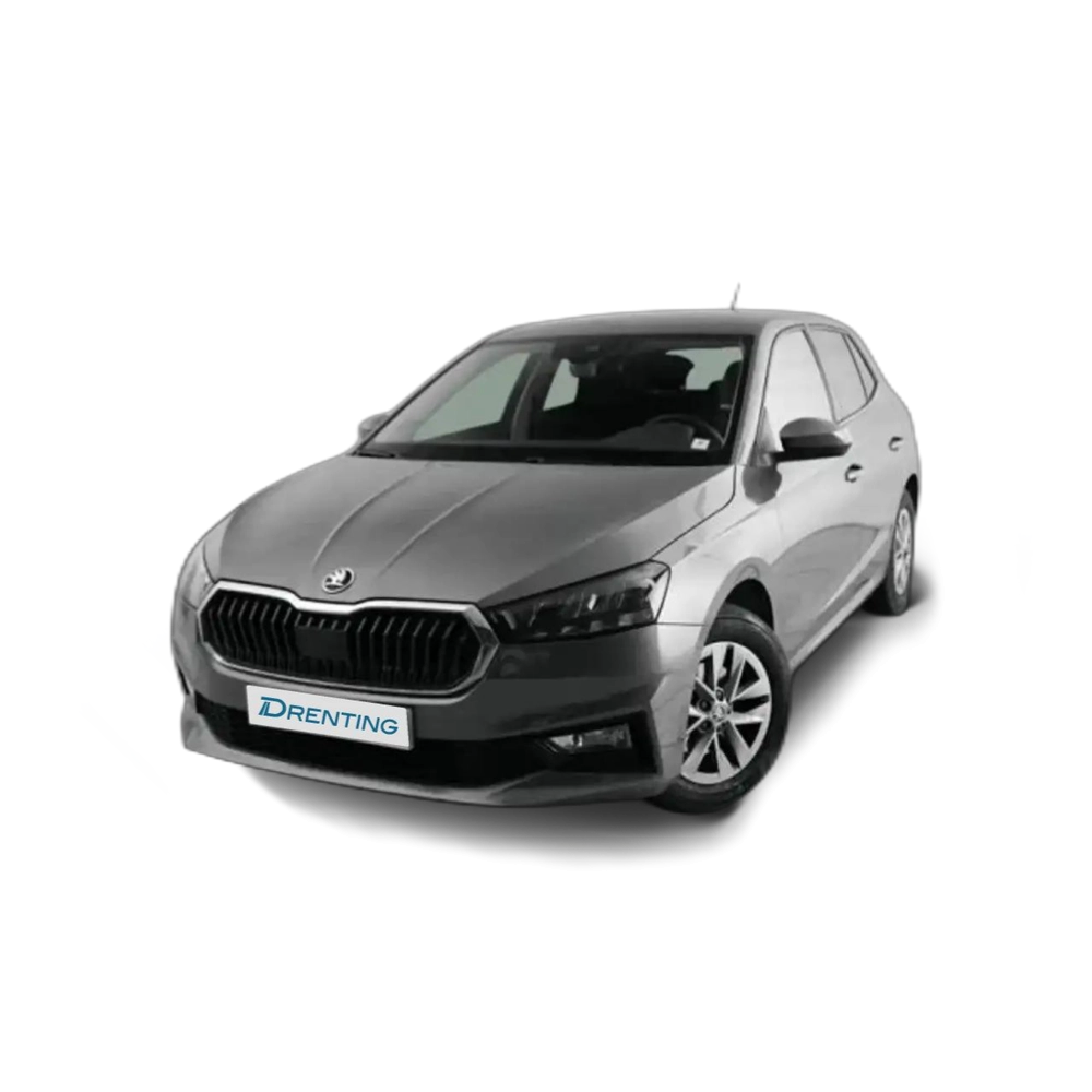 Renting Skoda Fabia 1.0 TSI Selection DSG 85kW Gris 1