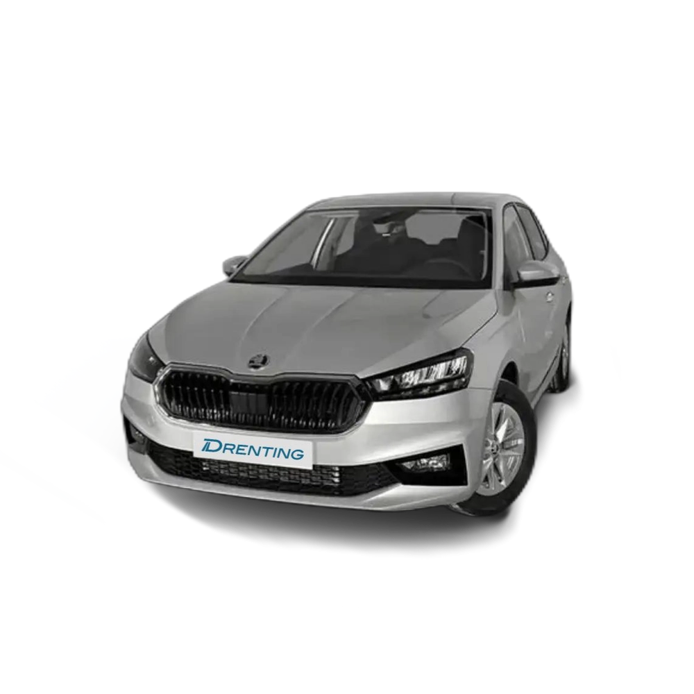 Skoda Fabia 1.0 TSI Selection DSG 85kW Plateado 2
