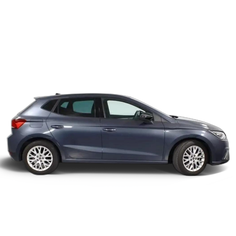 SEAT Ibiza 1.0 TSI S&S FR Salta 115 Gris 1