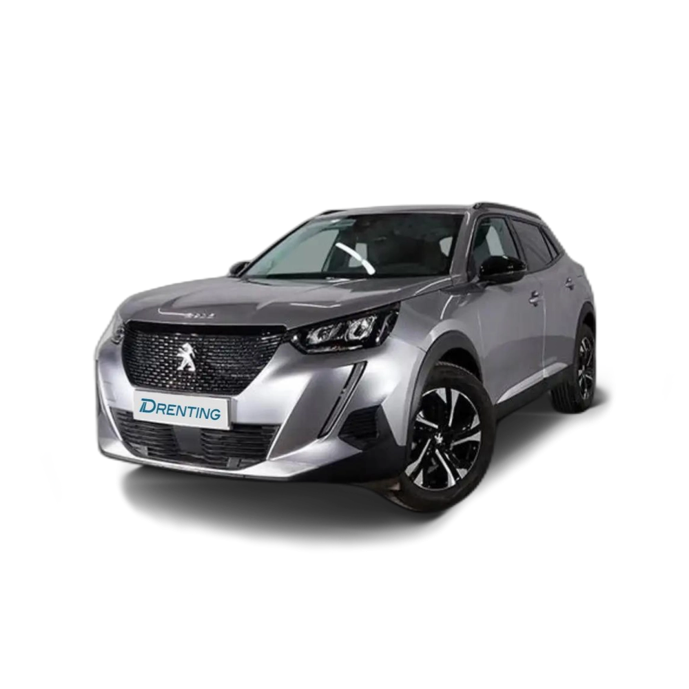 Peugeot 2008 1.2 100CV Allure Gris