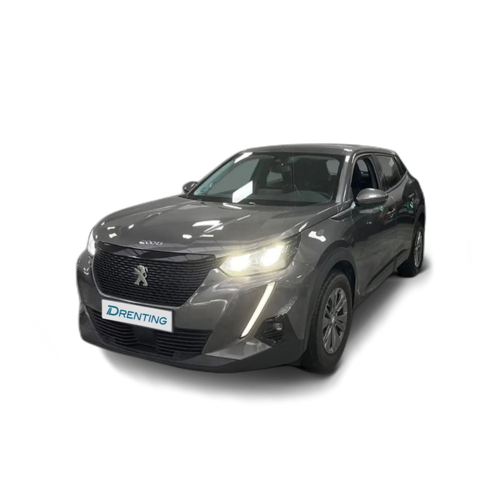Peugeot 2008 1.2 PureTech S&S Active 100 Gris 1