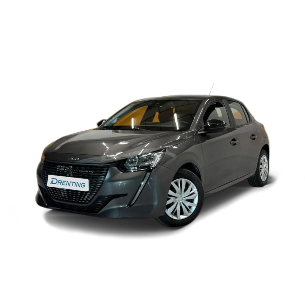 Peugeot 208 1.5 BlueHDi S&S Active 100 Gris