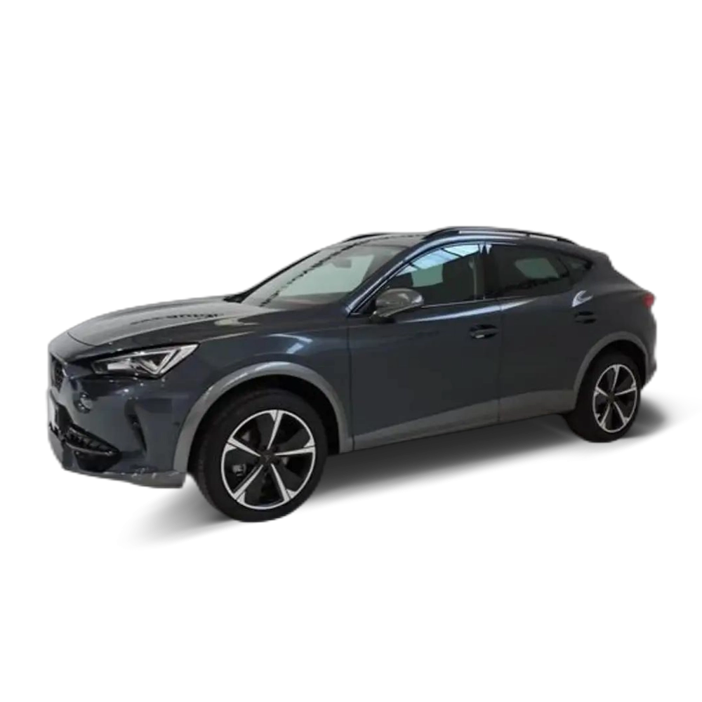 CUPRA Formentor 1.5 TSI 110 kW Gris