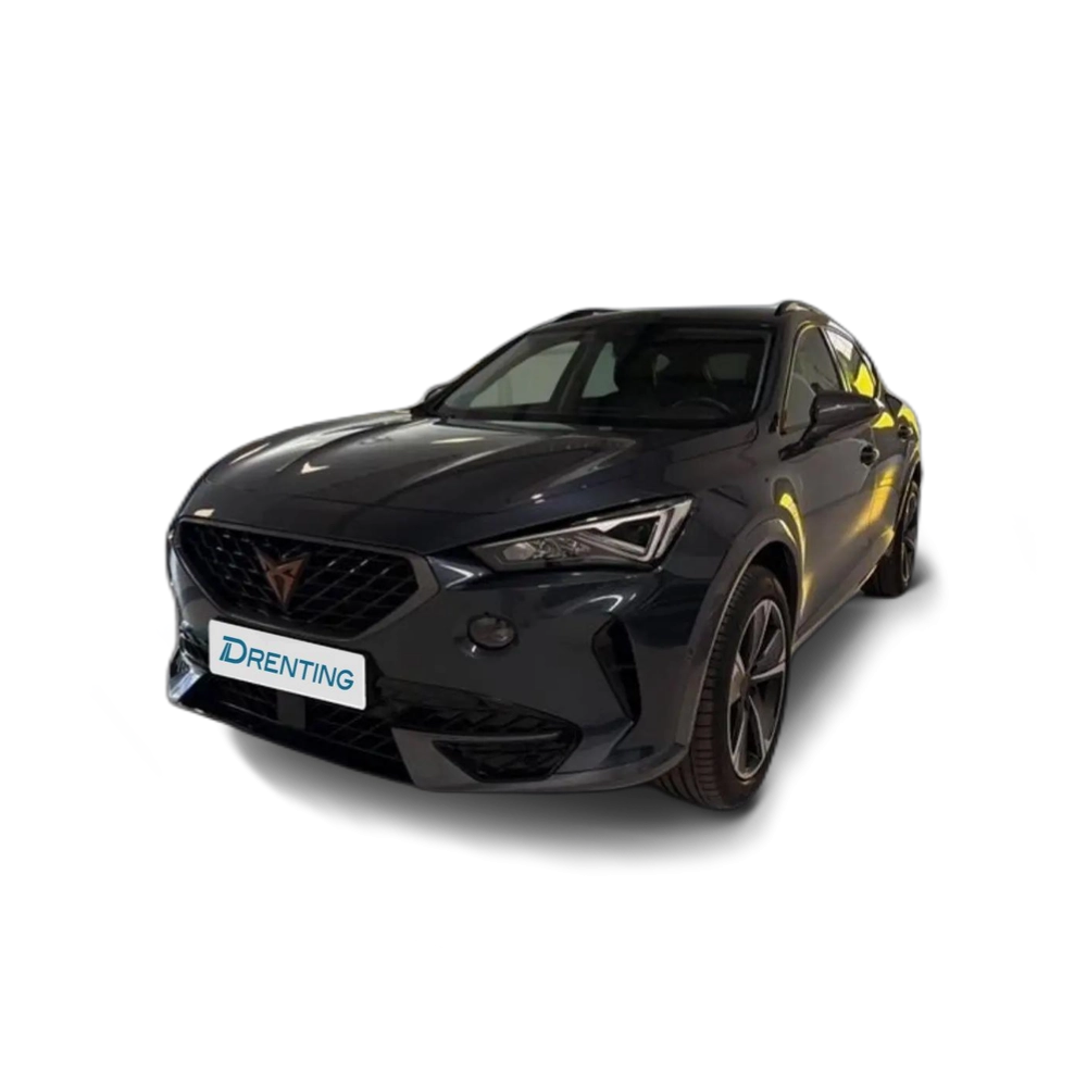 CUPRA Formentor 1.5 TSI 110kW (150 CV) – Gris