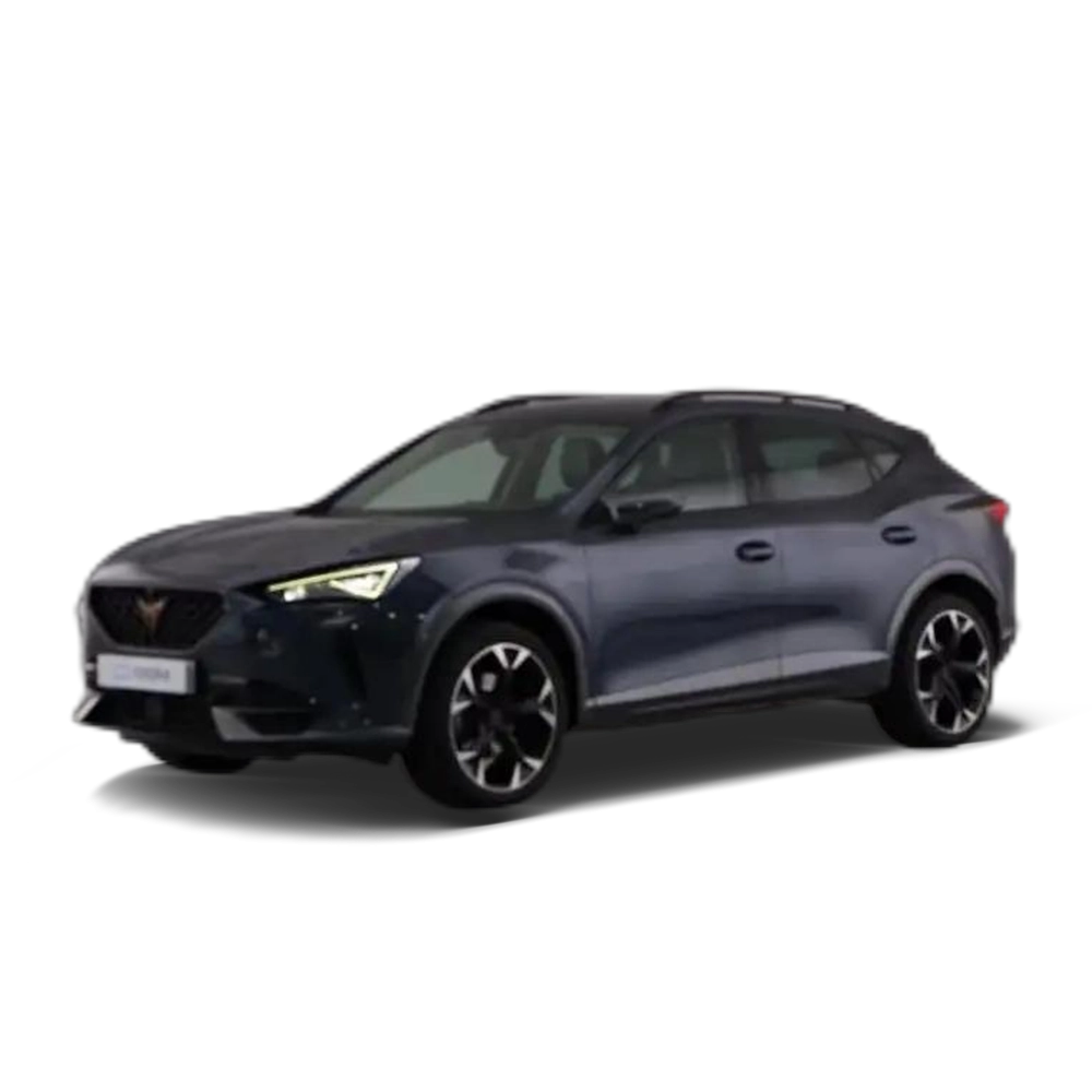 CUPRA Formentor 1.5 TSI 110kW (150 CV) DSG Gris