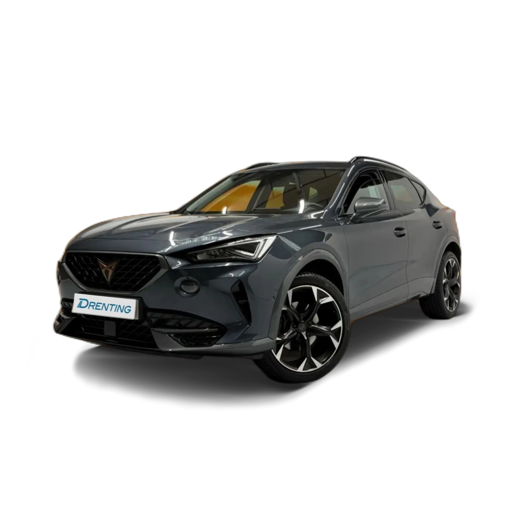 CUPRA Formentor 1.5 TSI 150 Gris 2