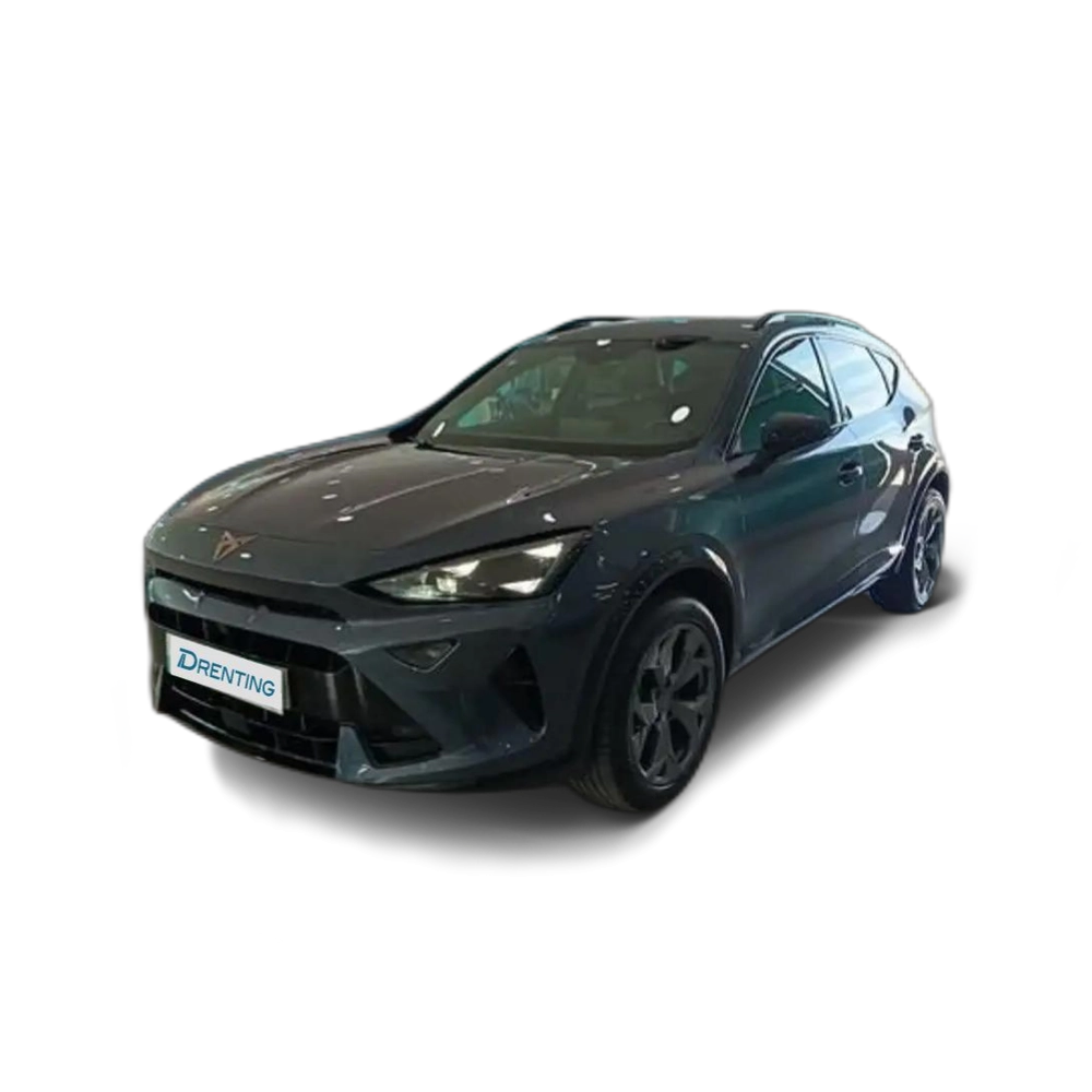 CUPRA Formentor 1.5 TSI 150 Gris 1