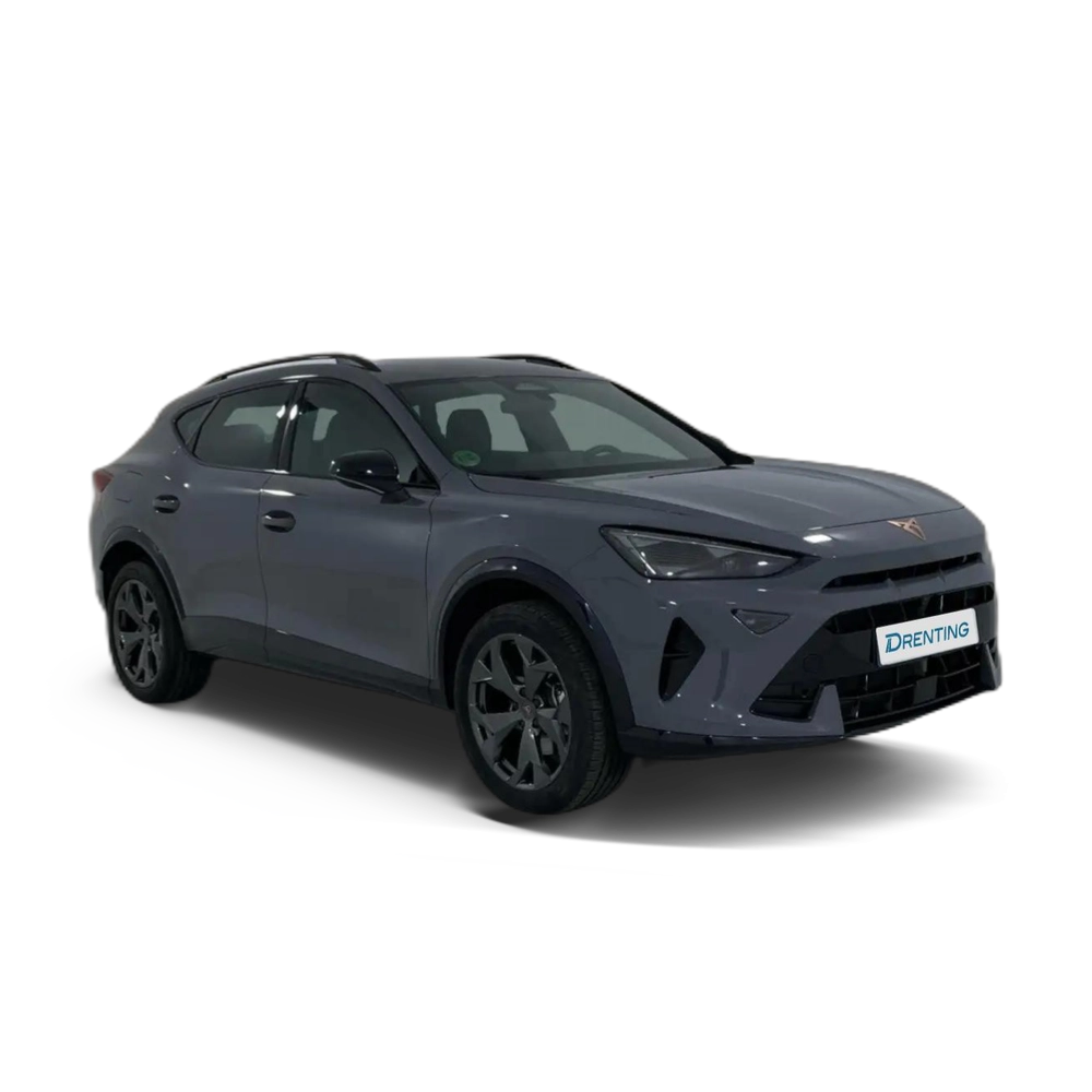 CUPRA Formentor 1.5 TSI 150 Gris 2 1