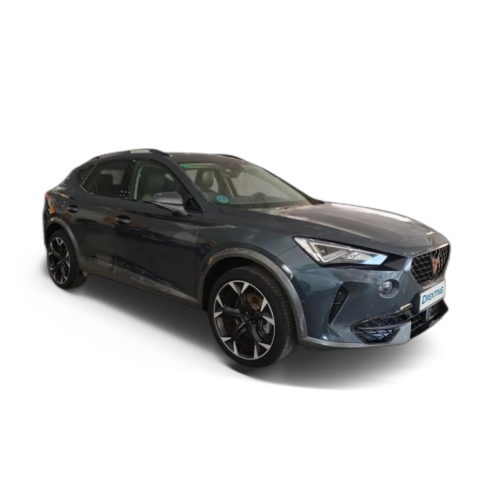 CUPRA Formentor 1.5 TSI 150 Gris 6