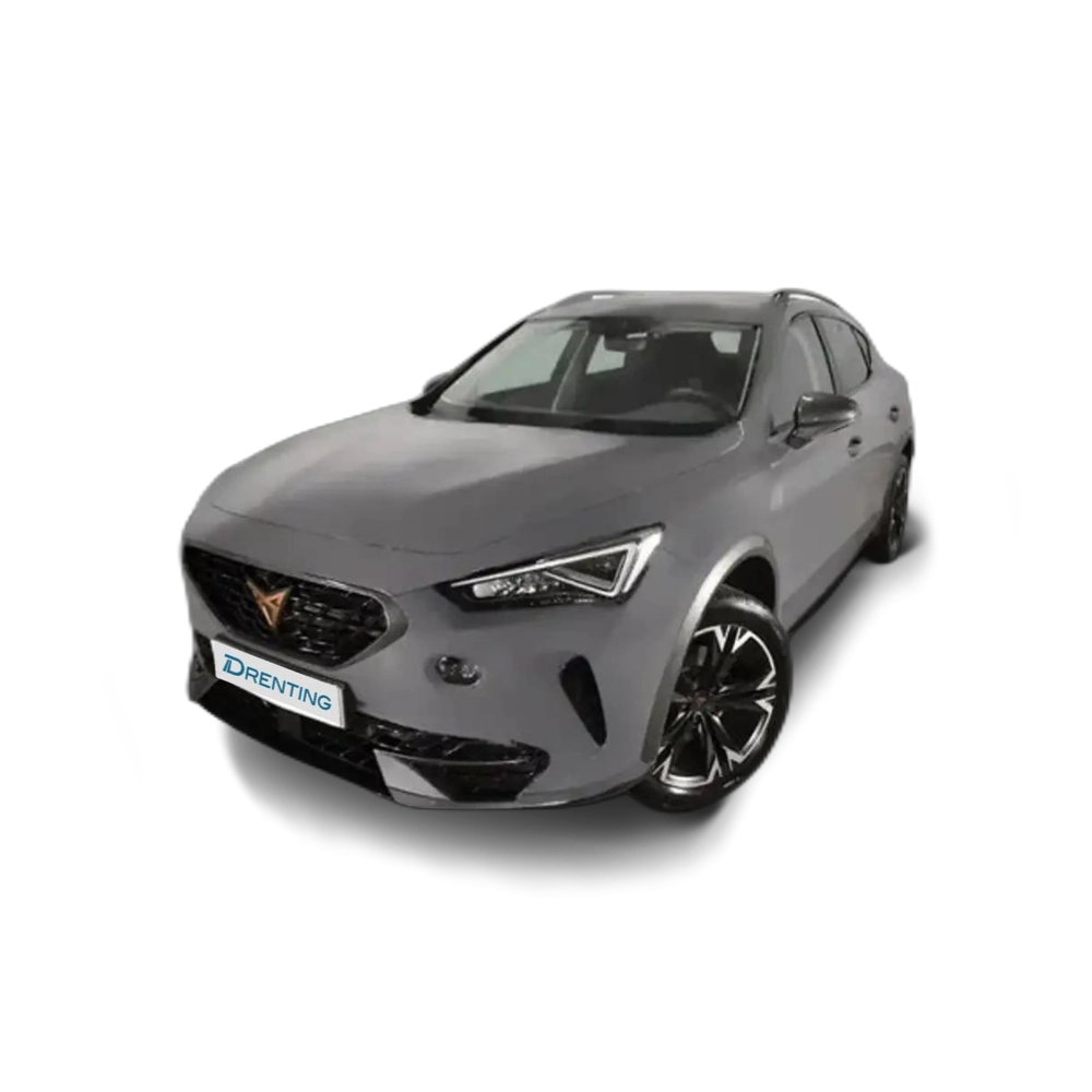 CUPRA Formentor 1.5 TSI 150 Gris 5