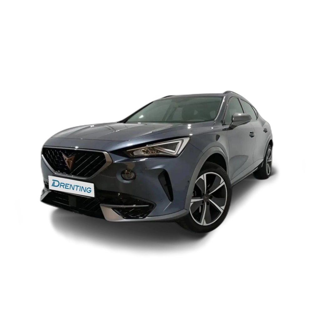 CUPRA Formentor 1.5 TSI 150 DSG Gris