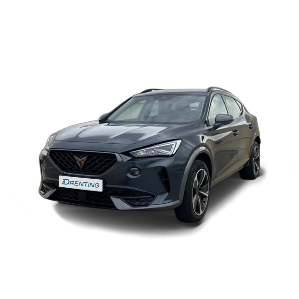 CUPRA Formentor 1.5 TSI 150 DSG Gris 2