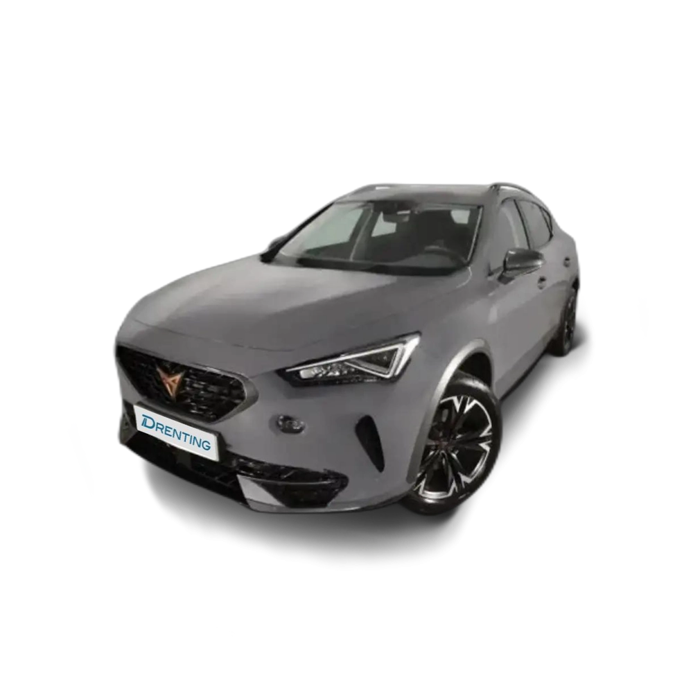 CUPRA Formentor 1.5 TSI 150CV Gris