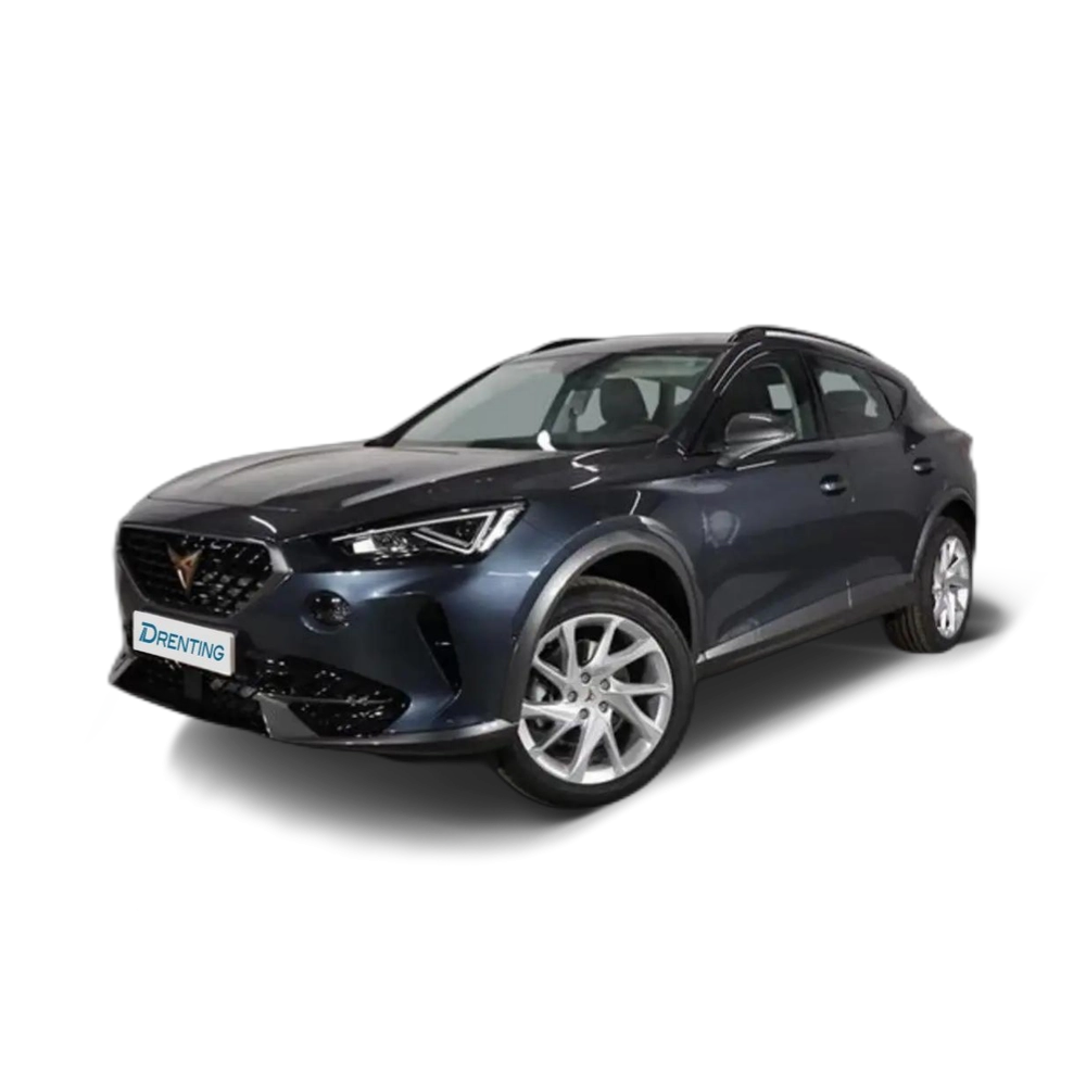 CUPRA Formentor 1.5 TSI 150CV DSG Gris