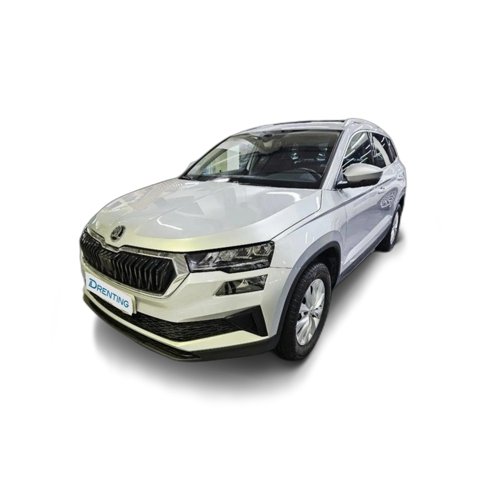 Skoda Karoq 1.5 TSI Ambition ACT 110KW Gris