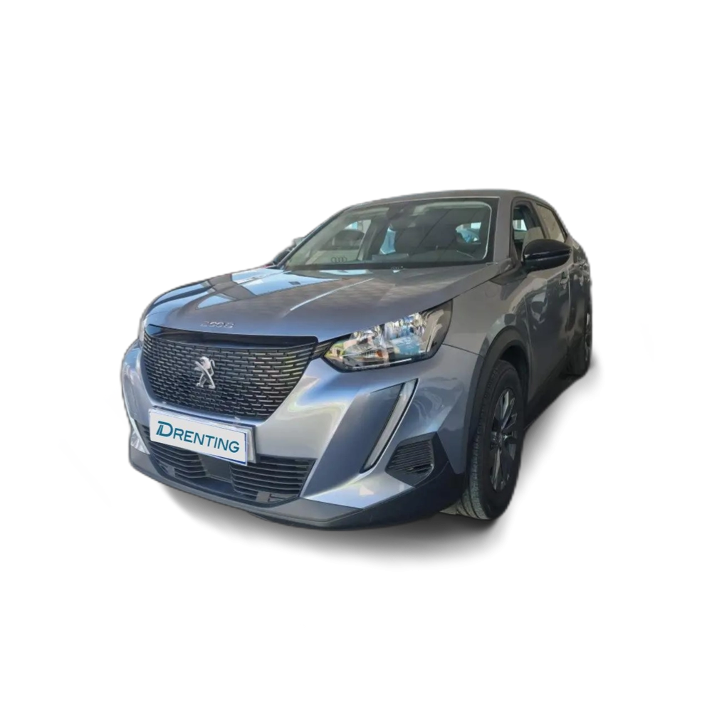 Peugeot 2008 1.5BlueHDi S&S Active Pack 110 Gris 1