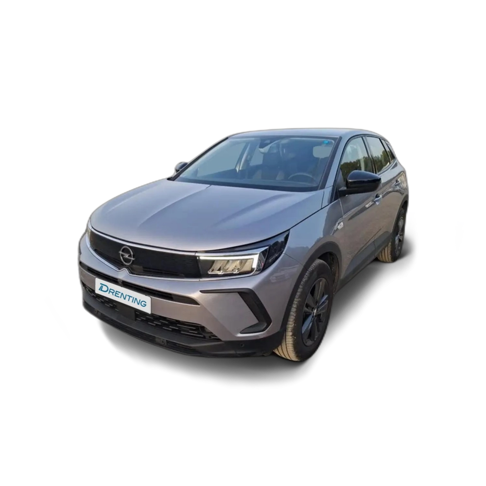 Opel Grandland 1.5CDTi S&S Business Edition Aut. 130 Gris 1