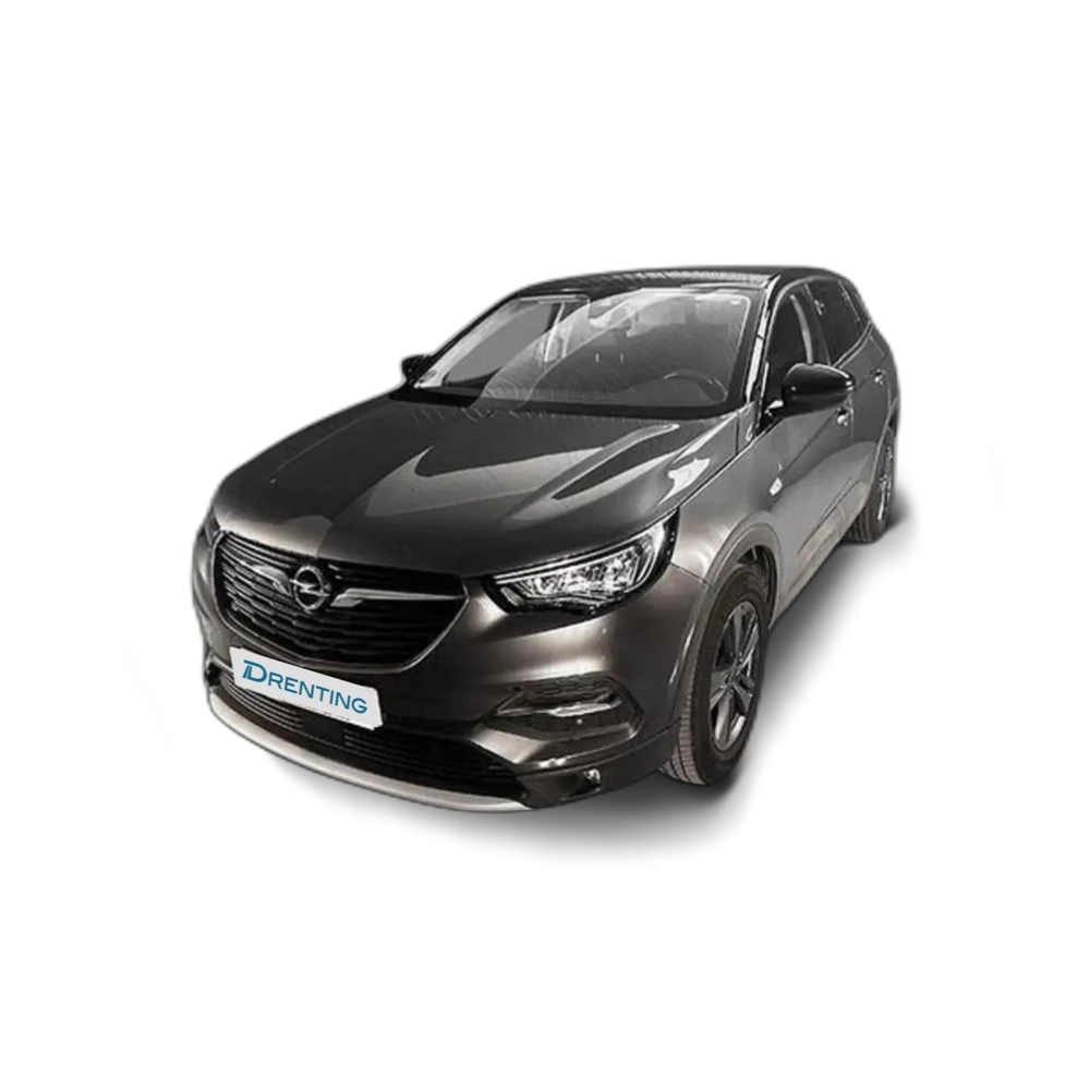 Opel Grandland X 1.5CDTi S&S Design & Tech 130 Gris 2