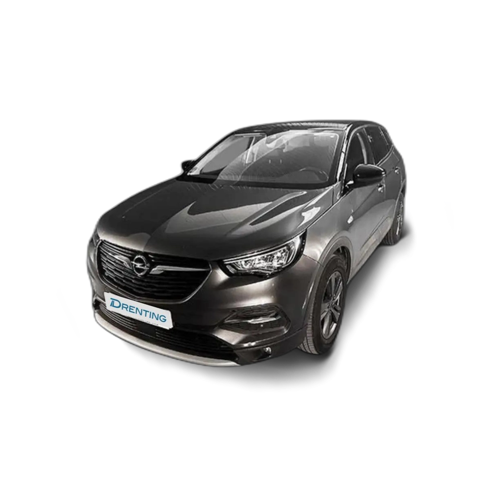 Opel Grandland X 1.5CDTi S&S Design & Tech 130 Gris 1