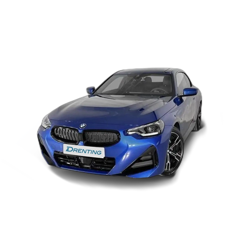 BMW Z4 M 2.0 184CV Sport (siniestro) Azul