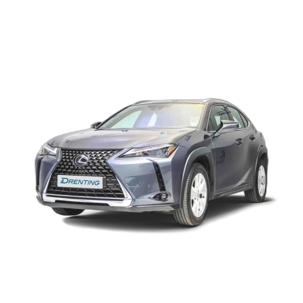 Lexus UX 250h 2.0 Business Gris