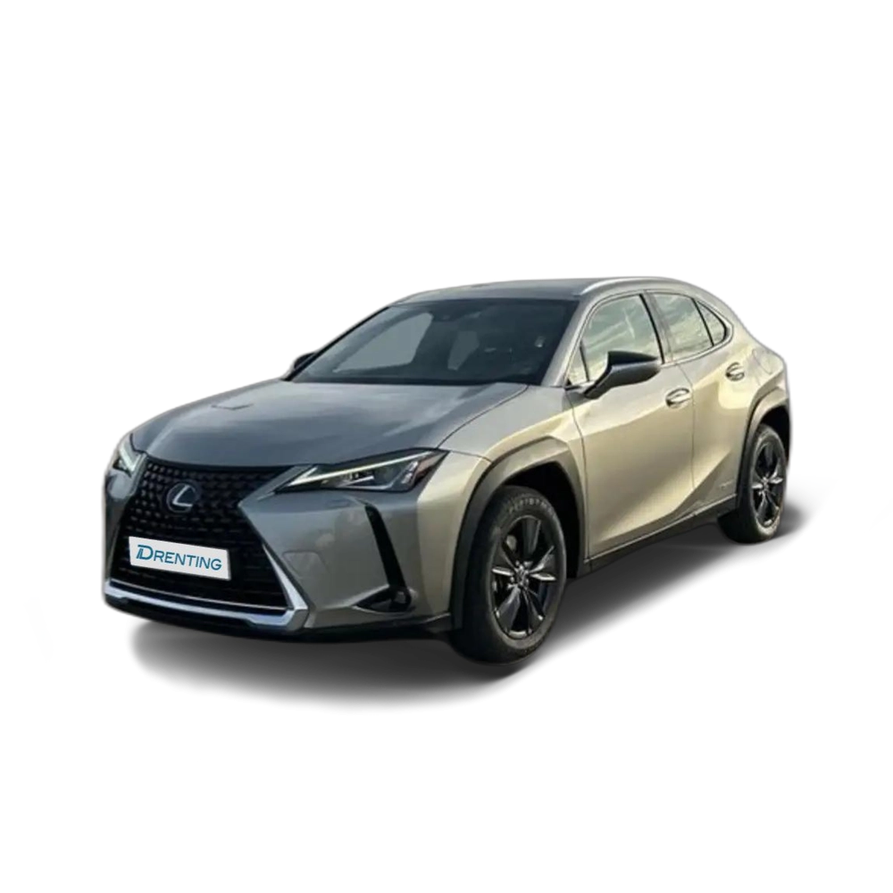 Lexus UX 250h 2.0 BUSINESS AUTO 184 5P Gris
