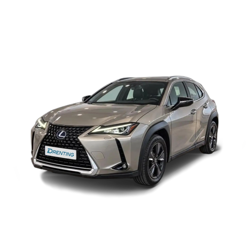 Lexus UX 250h 2.0 BUSINESS AUTO 184 5P Gris 1 1
