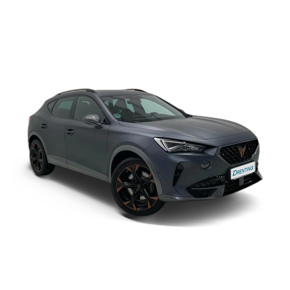 CUPRA Formentor 2.0 TSI 245 VZ DSG Gris 1