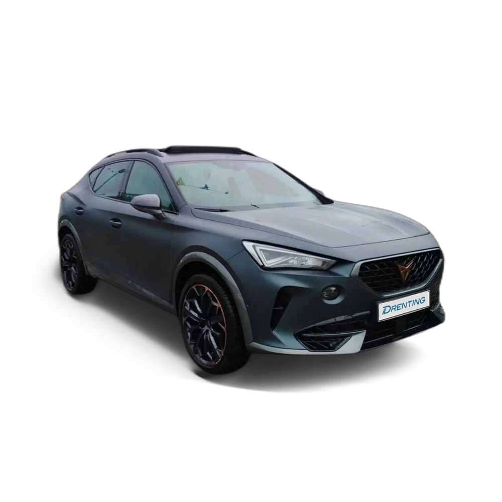 CUPRA Formentor 2.0 TSI 310 VZ DSG 4Drive Gris 1