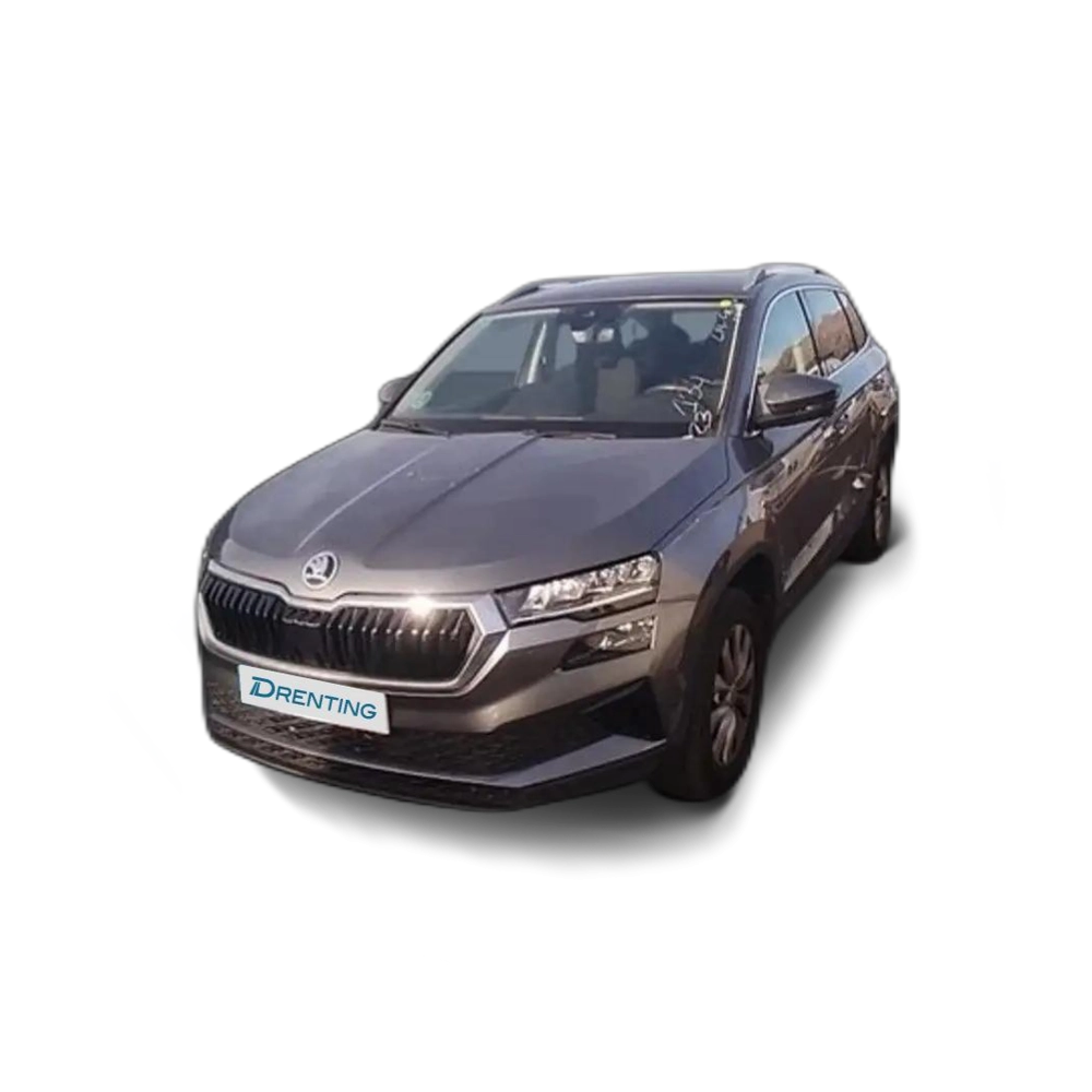 Skoda Karoq 2.0TDI Adblue Ambition 85kW Gris 1