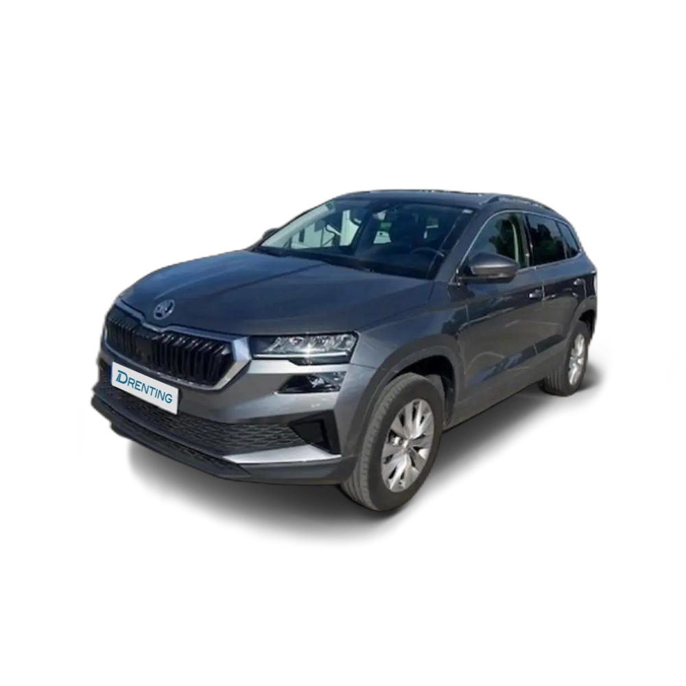 Skoda Karoq 2.0TDI Adblue Ambition 85kW Gris