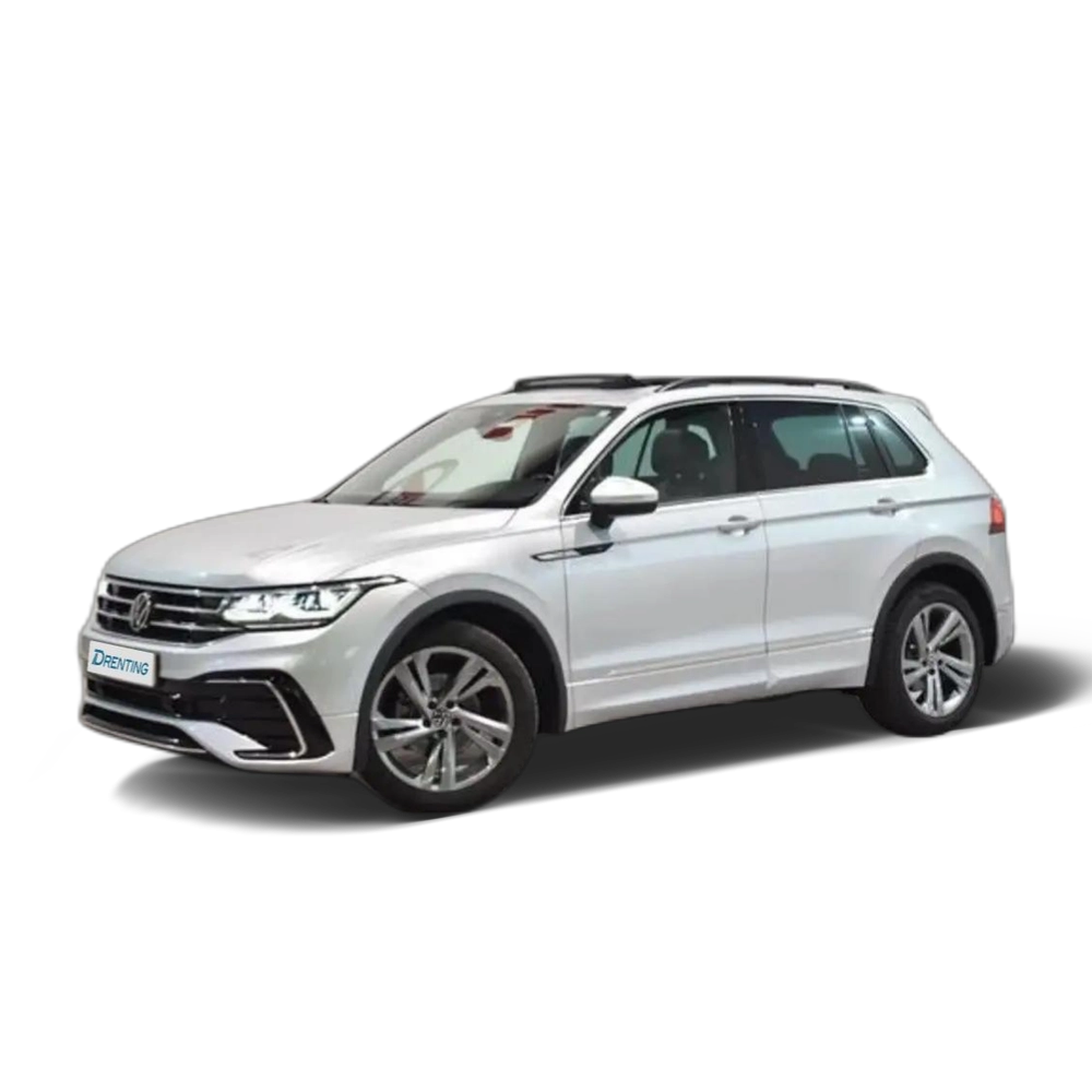 Renting Volkswagen Tiguan 2.0TDI R-Line DSG 110kW Gris 12