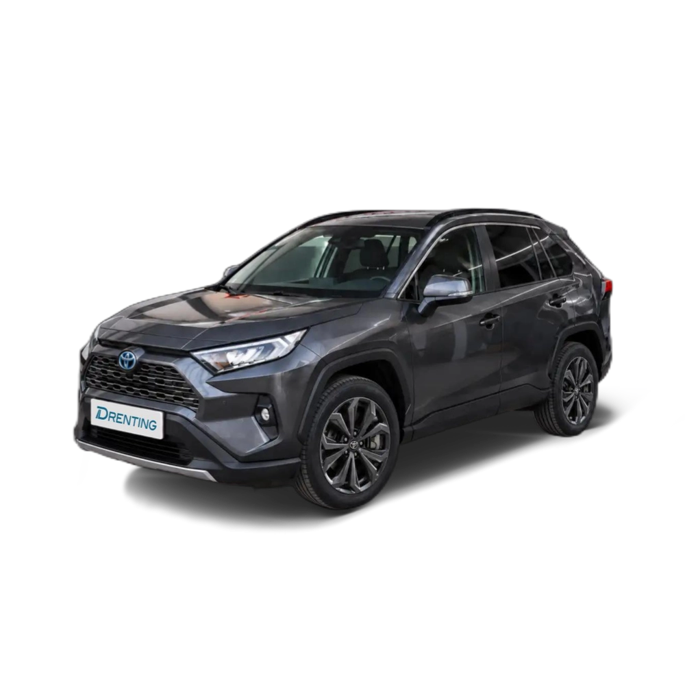 Toyota RAV4 2.5 hybrid 2WD Advance Gris