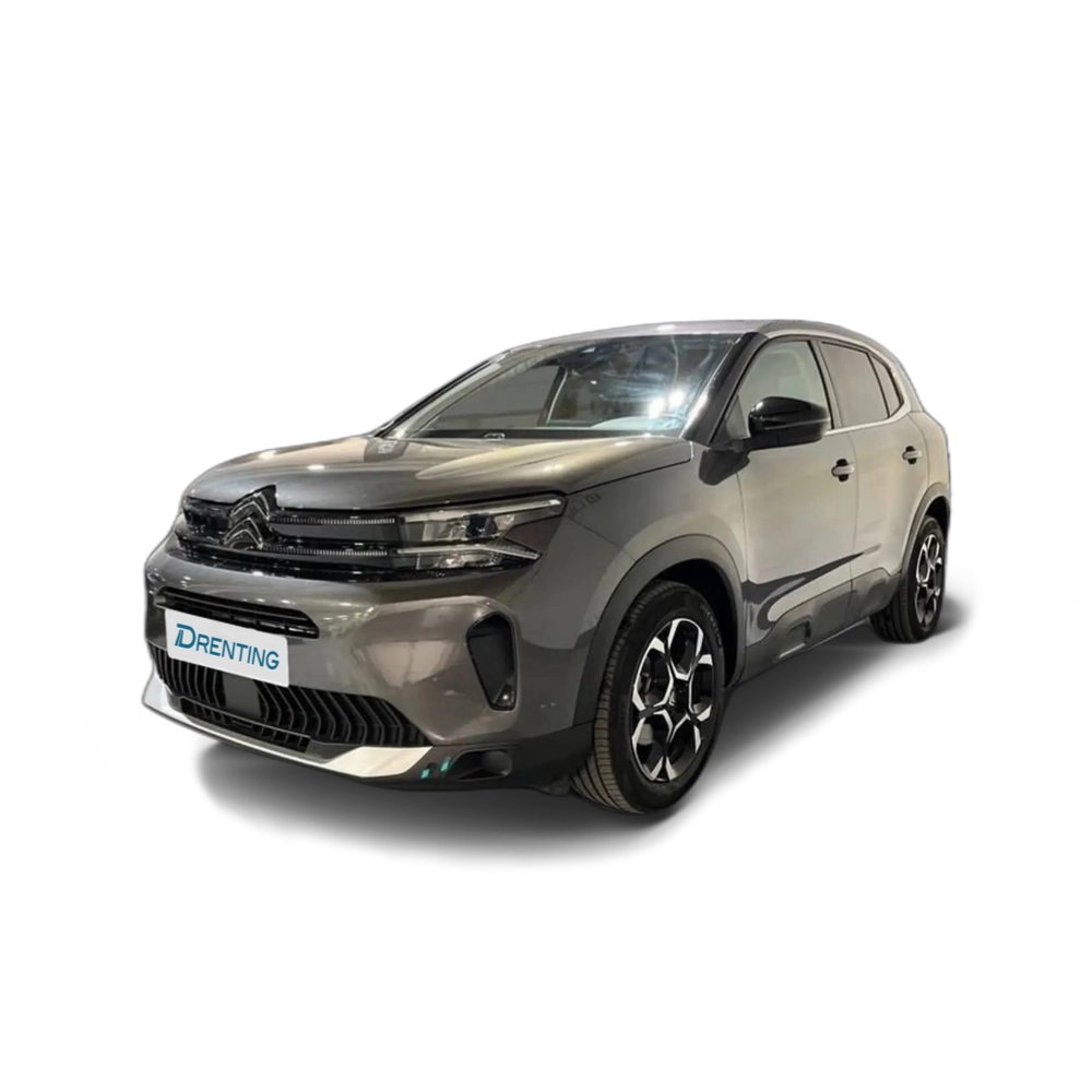 Citroen C5 Aircross BlueHdi 96kW (130CV) S&S EAT8 Plus Gris 1 1
