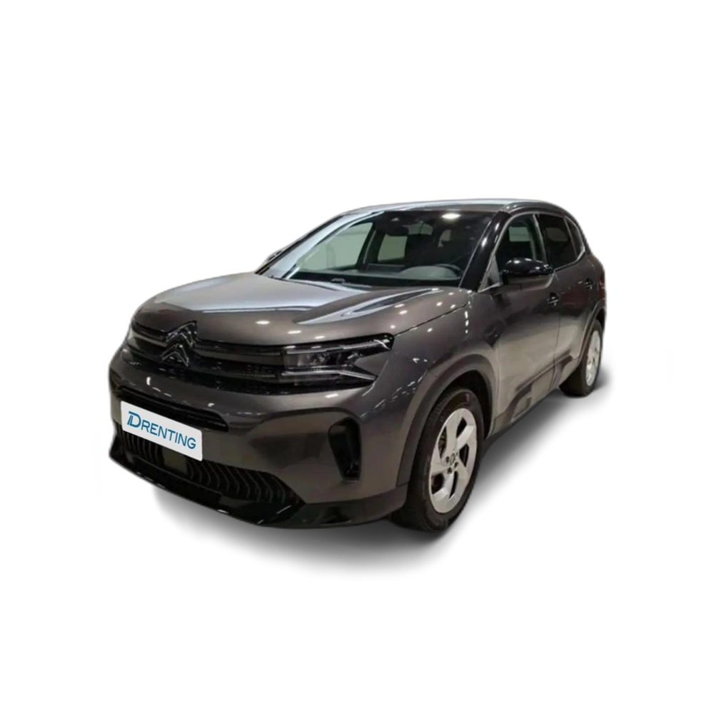 Citroen C5 Aircross BlueHdi 96kW (130CV) S&S EAT8 Plus Gris 1