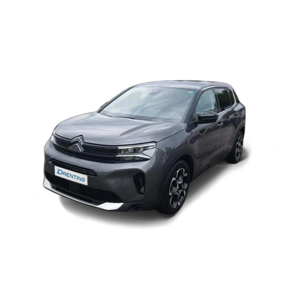 Citroen C5 Aircross BlueHdi 96kW (130CV) S&S EAT8 Plus Gris 1 2