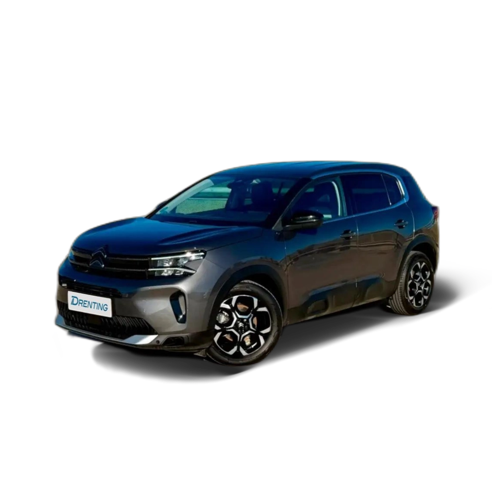 Citroen C5 Aircross BlueHDi S&S Plus EAT8 130 Gris 1