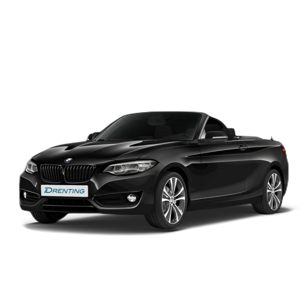 BMW Serie 2 220i Cabrio 135 kW (184 CV) 1