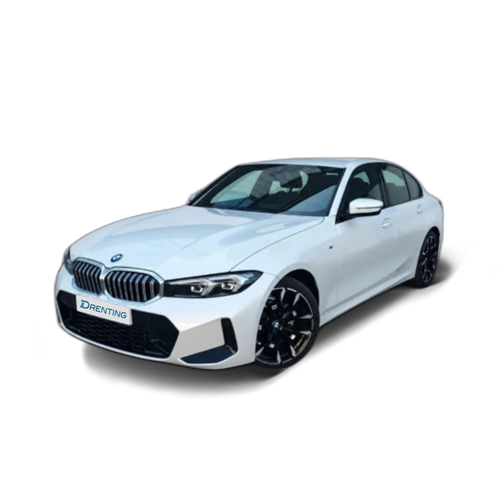 BMW Serie 3 318d Auto.