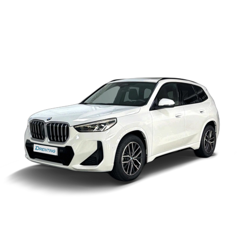 BMW X1 sDrive18d 110 kW (150 CV) 3 19