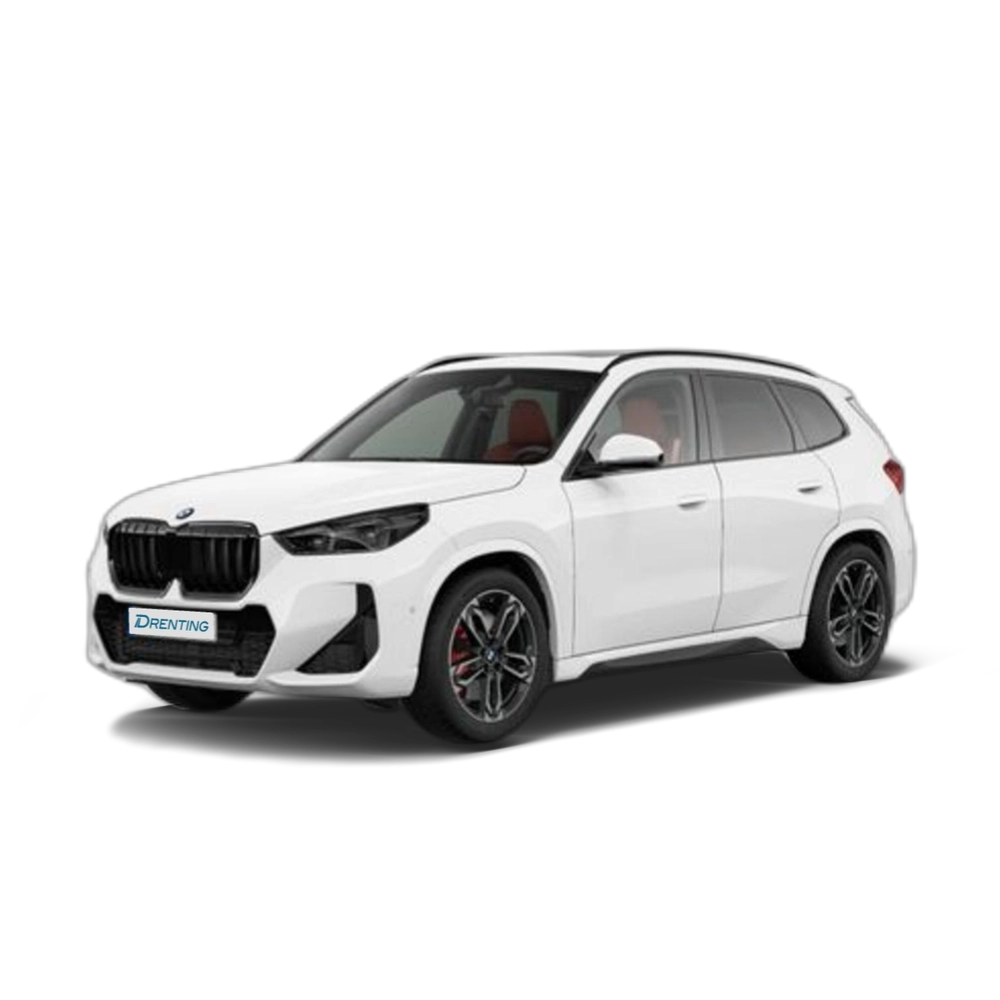 Renting BMW X1 sDrive20d 120 kW (163 CV) 23 9