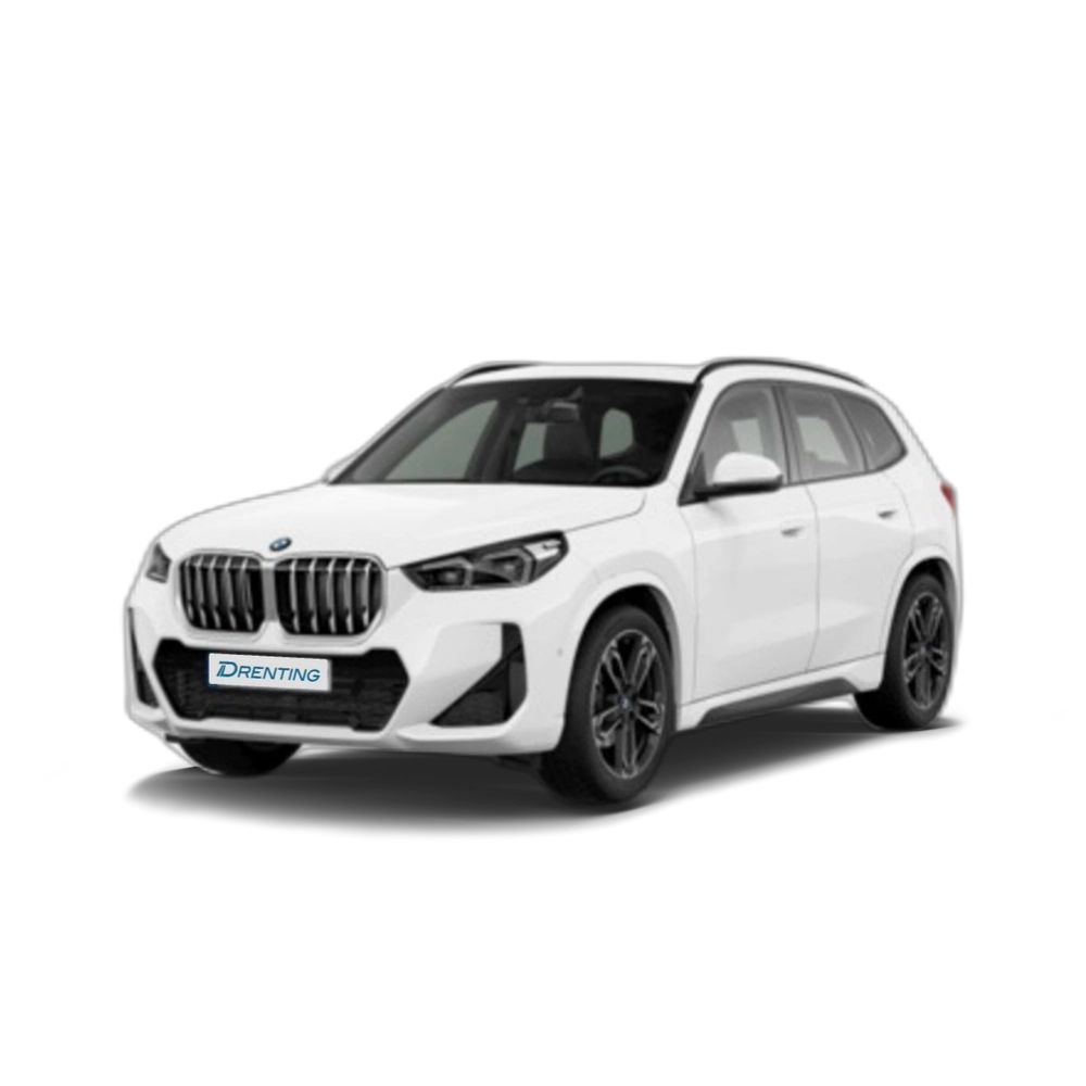 BMW X1 sDrive20d 120 kW (163 CV) 24 4