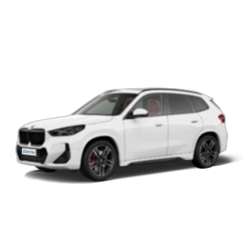 BMW X1 sDrive20d 120 kW (163 CV) 5
