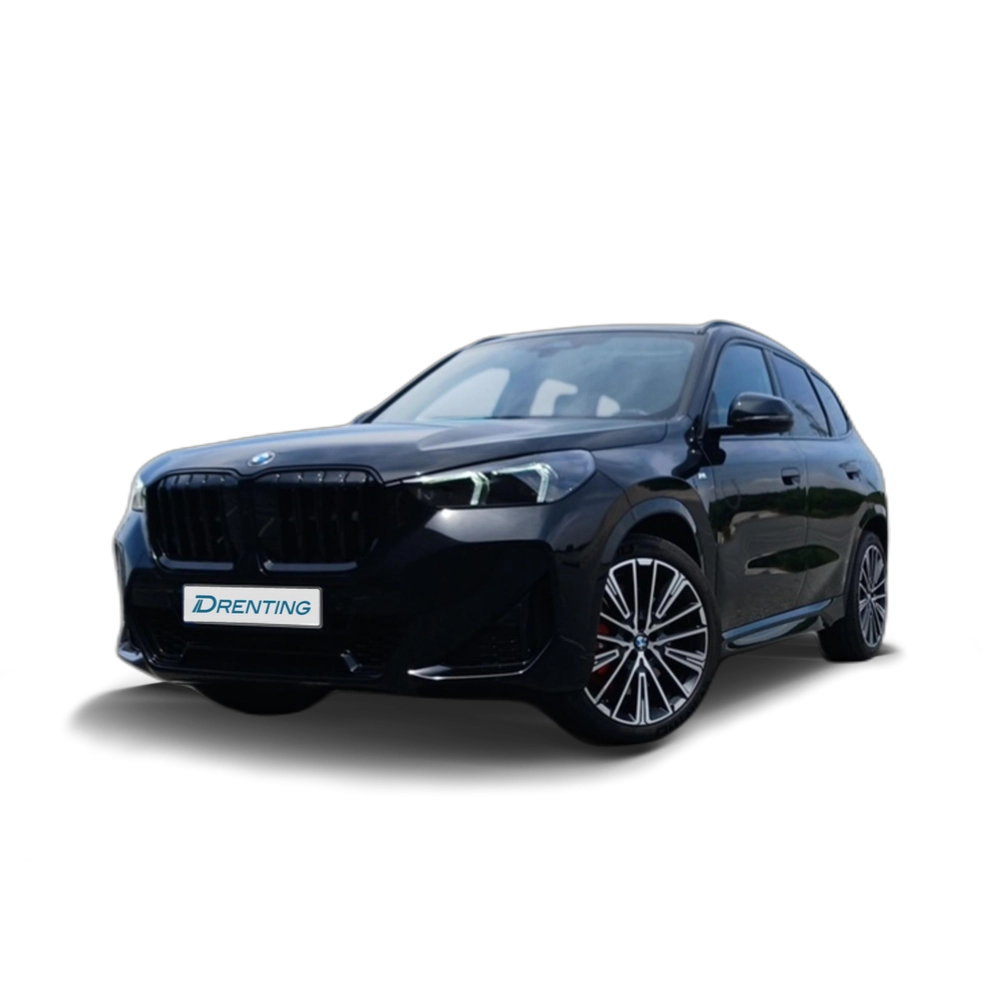 BMW X1 sDrive20d 120 kW (163 CV) 6 8
