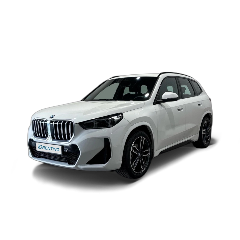 BMW X1 sDrive20d 120 kW (163 CV) 6 9
